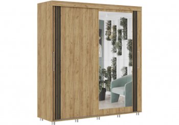 Шкаф-купе 2000 мм Форест крафт золотой(Стиль) в Кировграде - kirovgrad.mebel-e96.ru