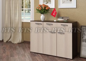 Комод Стандарт 4 NEW (БТС) в Кировграде - kirovgrad.mebel-e96.ru