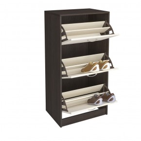 Обувница Вега ОБ-2 (ИЦ) в Кировграде - kirovgrad.mebel-e96.ru