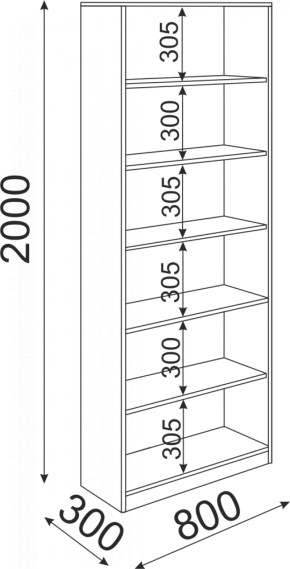 Стеллаж 800 Остин Модуль 08 (Риннер) в Кировграде - kirovgrad.mebel-e96.ru