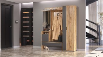 Прихожая Сабрина Дуб вотан/графит (Лин) в Кировграде - kirovgrad.mebel-e96.ru