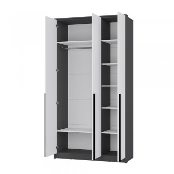 Шкаф 1200 Шарм ШК-10 (БТС) в Кировграде - kirovgrad.mebel-e96.ru