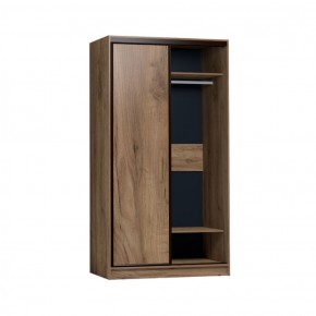 Шкаф-купе Домашний 1200 дуб табачный Craft зеркало без зеркала в Кировграде - kirovgrad.mebel-e96.ru