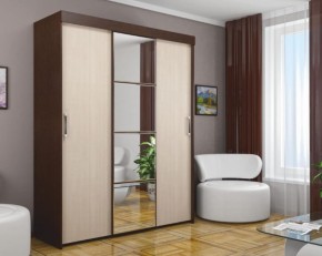 Шкаф-купе Форвард ШК-3 1650 мм (БМ) в Кировграде - kirovgrad.mebel-e96.ru