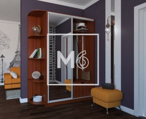 Шкаф-купе Ирина 1100 ЛДСП (монорельс) в Кировграде - kirovgrad.mebel-e96.ru