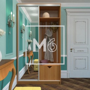 Шкаф-купе Ирина 1100 ЛДСП (монорельс) в Кировграде - kirovgrad.mebel-e96.ru