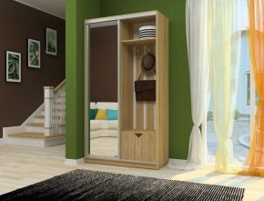 Шкаф-купе Ирина 1100 ЛДСП (монорельс) в Кировграде - kirovgrad.mebel-e96.ru