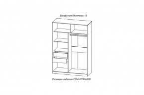 Шкаф-купе ВИКТОРИ-13 Анкор темный в Кировграде - kirovgrad.mebel-e96.ru