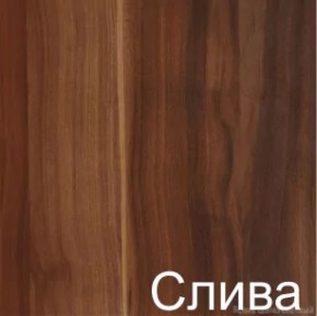 Стол-книжка (1-65) (ГК) в Кировграде - kirovgrad.mebel-e96.ru