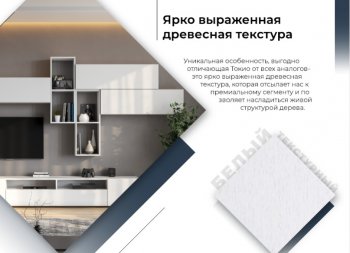 Стенка Токио комп.3 (СВ) в Кировграде - kirovgrad.mebel-e96.ru