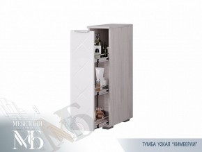 Тумба узкая ТБ-21 Кимберли (БТС) в Кировграде - kirovgrad.mebel-e96.ru