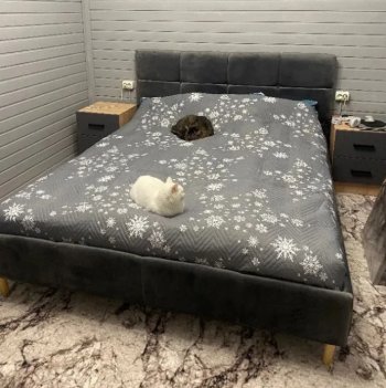 Кровать Ханна холодный серый (БМ) в Кировграде - kirovgrad.mebel-e96.ru